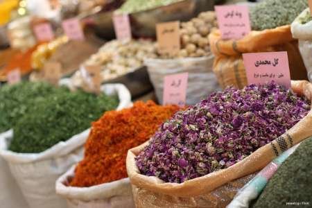 کشت ۱۲۶ گونه گیاه دارویی در سمنان/ خیز استان برای تولید 2برابری پسته