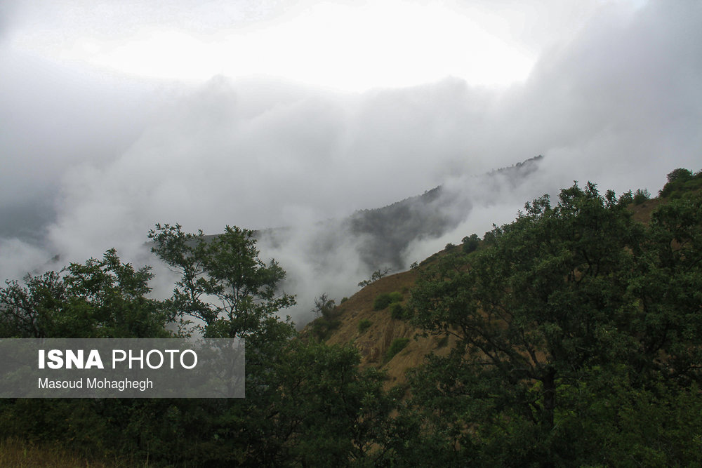 کمبود جنگلبان در منابع طبیعی سمنان/ خطر آتش سوزی در جنگل‌های هیرکانی استان سمنان