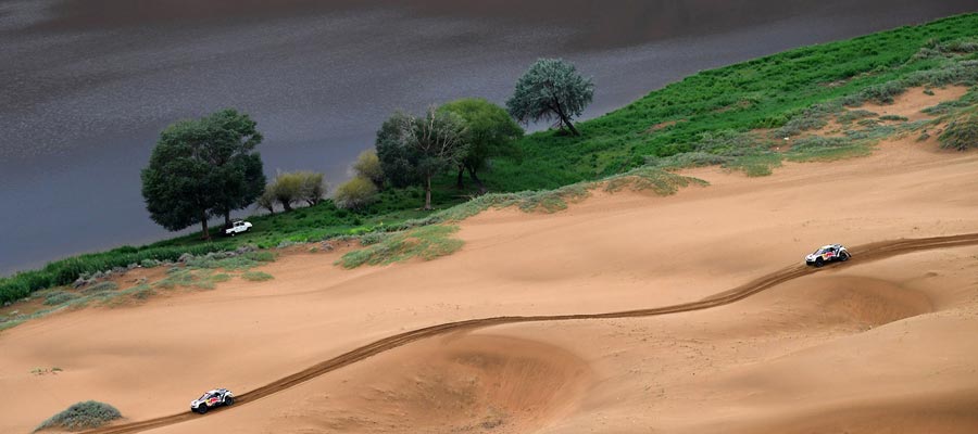 کوتاه‌ترین فاصله کویر تا جنگل کجاست؟
