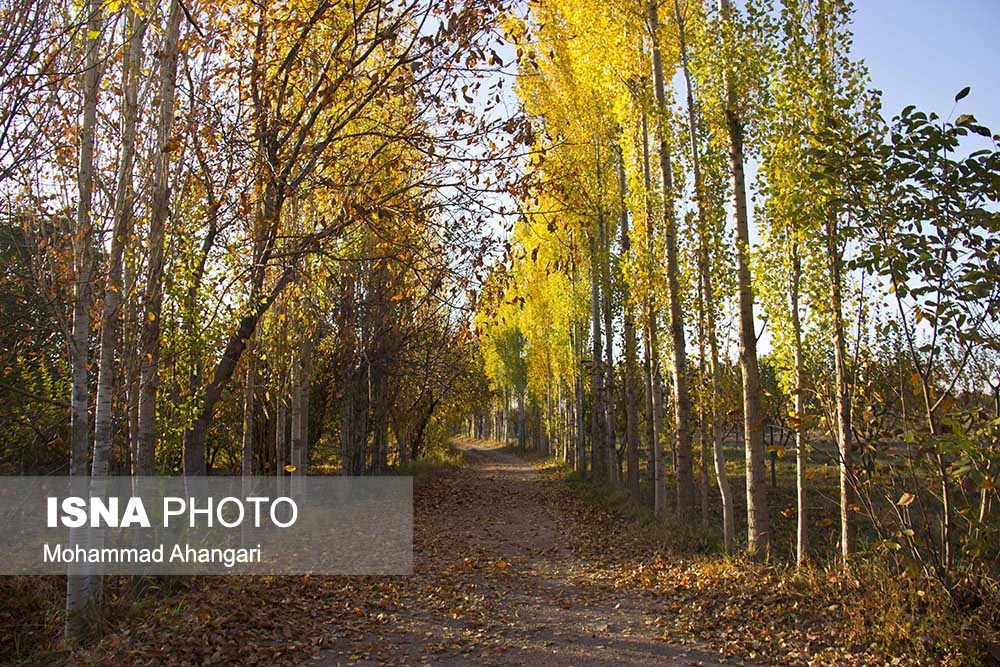 ایسنا - خودنمایی پاییز هزار رنگ در طبیعت بکر شهرستان ابهر