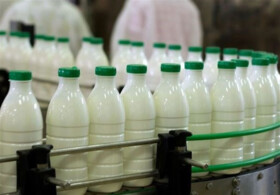 شایعه وجود سم در شیر به صنایع لبنی آسیب زد
