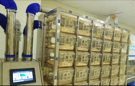 راه اندازی سیستم پرورش موش‌های آزمایشگاهی در موسسه رازی