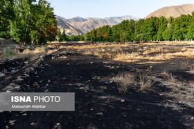 کشاورزان کاه و کلش را در زمین‌های زراعی آتش نزنند