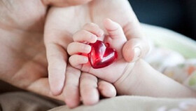هر ماه ۶۰ خانواده البرزی خون بند ناف نوزاد خود را ذخیره می‌کنند