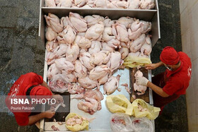 مرغ بیشتر از ۲۳ هزار تومان گرانفروشی است