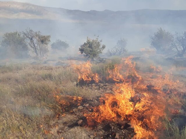 احتمال شروع آتش‌سوزی زودهنگام در مراتع البرز

