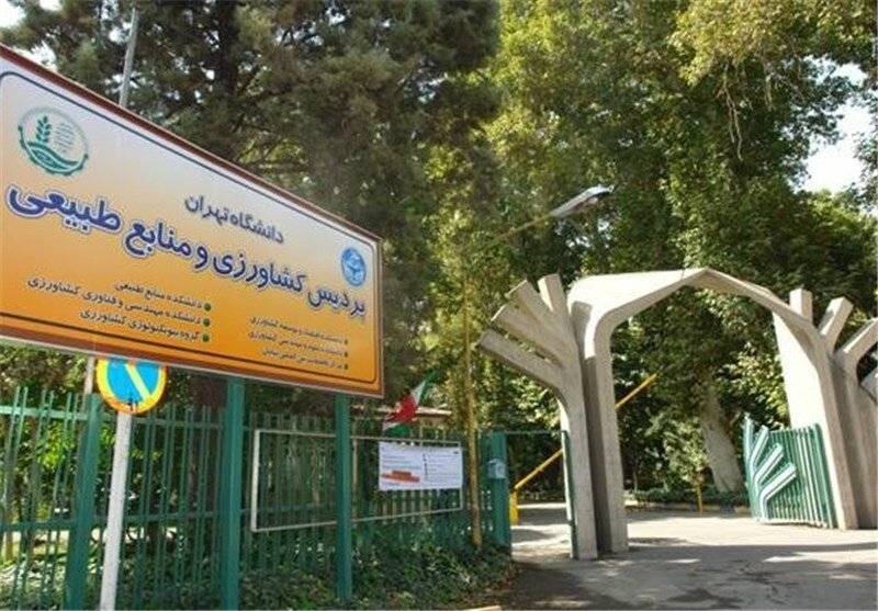 ماجراجویی شبانه افراد خودسر مقابل پردیس کشاورزی دانشگاه تهران!