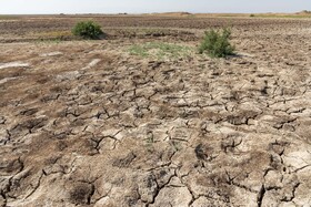تنها تالاب البرز در مرز خشک شدن 18
