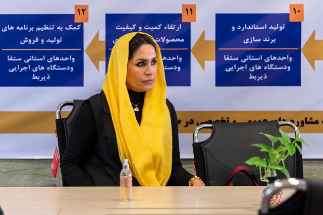 بانوان،كارآفرين،كارآفريني،جذب،مركز،حمايت،مشاغل،خانگي،باور،ما ...