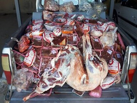 معدوم‌سازی بیش از ۱۶ تن فرآورده دامی فاسد در البرز

