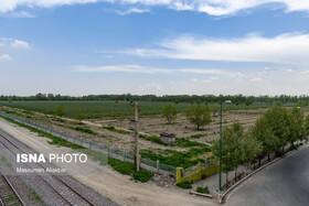 کاشت درخت در اراضی دانشگاه علامه در باغ سیب مهرشهر