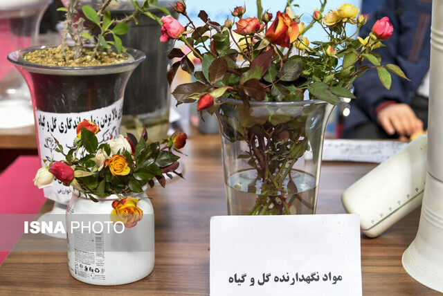 نمایشگاه هفته پژوهش البرز