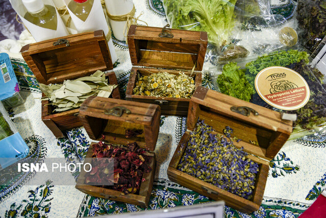 نمایشگاه هفته پژوهش البرز