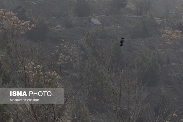 آلودگی هوای کرج