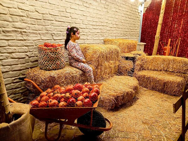 جشنواره انار در کرج برگزار میشود جشنواره انار در کرج برگزار میشود