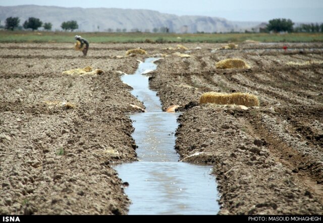 کشت غرقابی حتی در کشورهای پرآب هم منسوخ شده است