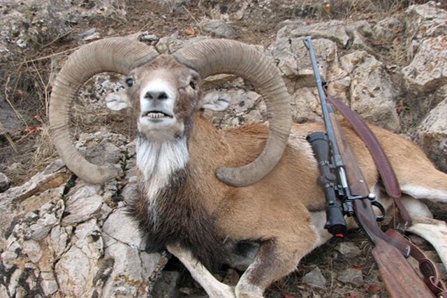 قرق‌های اختصاصی برای شکارچیان خارجی!