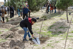 پویش هر شهروند یک درخت در البرز