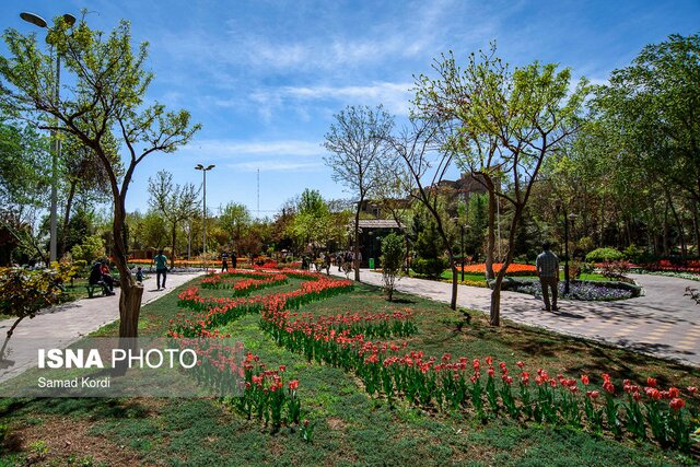 احتمال رایگان شدن بازدید از جشنواره لاله‌های کرج