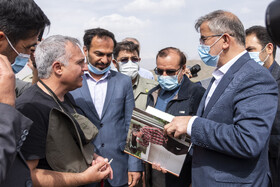 بازگشت تعدادی از گونههای حیات وحش به طبیعت 23