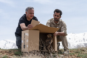 بازگشت تعدادی از گونههای حیات وحش به طبیعت 20