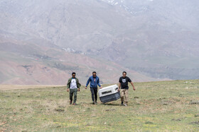 بازگشت تعدادی از گونههای حیات وحش به طبیعت 5