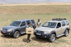 بازگشت تعدادی از گونههای حیات وحش به طبیعت 4