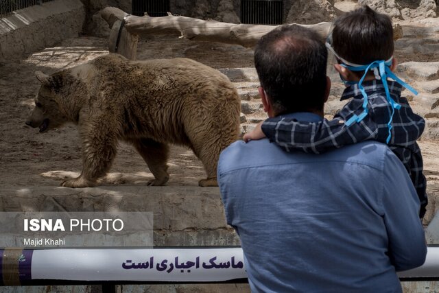 این قفس خانه من نیست!