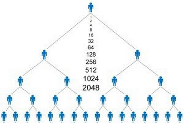 دستگیری ۸ سرشبکه یک شرکت هرمی در کرج دستگیری ۸ سرشبکه یک شرکت هرمی در کرج
