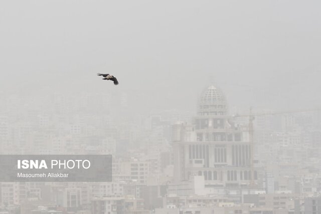 تعطیلی ادارات، بانک‌ها و دانشگاه‌های البرز به دلیل وضعیت خطرناک هوا