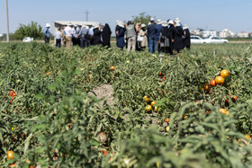 تور رسانه ای موسسه تحقیقات اصلاح و تهیه نهال و بذر