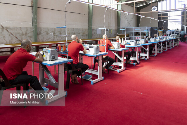 عکس تزئینی است اجرای طرح «مدیریت مورد» با محوریت توانمندسازی معتادان بهبودیافته در بهزیستی زنجان