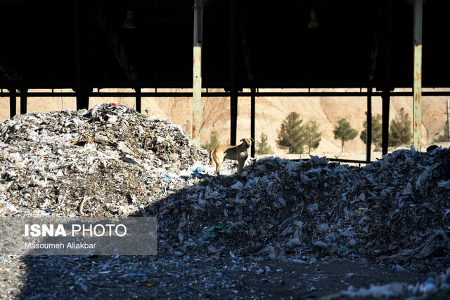 عکس تزئینی است چالشها و فرصتهای مدیریت پسماند در همدان