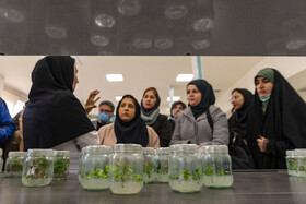 بازدید دانشجویان دانشگاه تهران از موسسات تحقیقات کشاورزی کرج