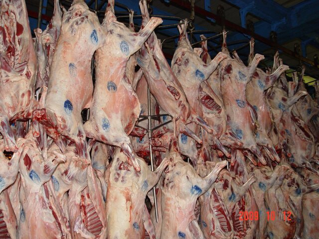 فعالیت 15 باب کشتارگاه صنعتی و سنتی دام و طیور در اردبیل ۷