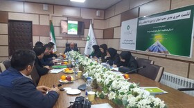پرداخت 2216 میلیارد ریال تسهیلات قرض الحسنه در سال جاری

