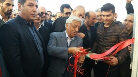 توسعه گلخانه ها چالش اساسی کمبود آب در کشور را مرتفع می کند