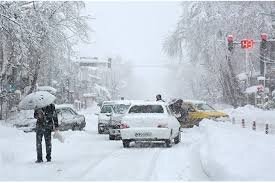 تصاویر یخ زده پرندگان و منازل متعلق به خلخال نیست