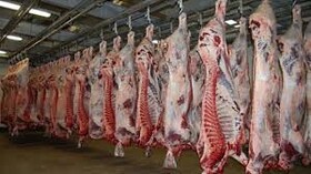 مردم از خرید گوشت‌‎های حاصل از ذبح‌های غیر مجاز خودداری کنند