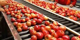  راه اندازی نخستین واحد صنعتی سورتینگ میوه در مشگین شهر