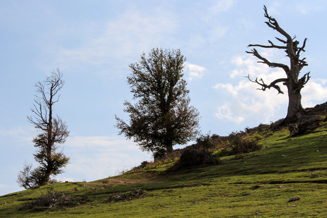 ییلاق لَرزرِه بشناسیم