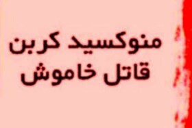 مرگ 14 نفر بر اثر مسمومیت با گاز مونوکسیدکربن در اردبیل

