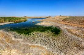 80 درصد مساحت اردبیل درگیر خشکسالی شدید است