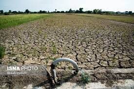 خشکسالی سه هزار و 900 میلیارد تومان به کشاورزی اردبیل خسارت زده است