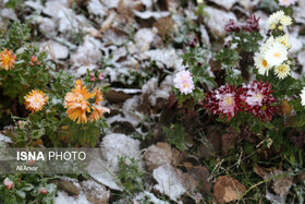 آغاز بهار با رخساره زمستان در اردبیل