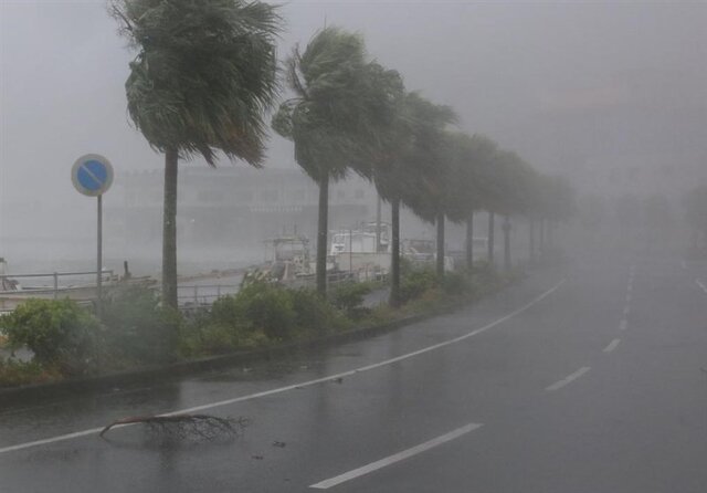 وزش تندباد شدید تا 120 کیلومتر در اردبیل/بارش برف و باران در راه است