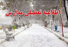 بارش برف مدارس برخی مناطق استان کرمان را تعطیل کرد