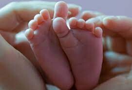 سبقت فوت بر ولادت در شهرهای اردبیل/کمترین ولادت در ارشق رخ داده است