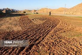  آخرین مهلت بیمه اراضی دیمی 7 اسفند است