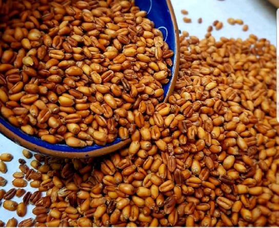 چرشنبه آخشامی با طعم سرما و کرونا در اردبیل